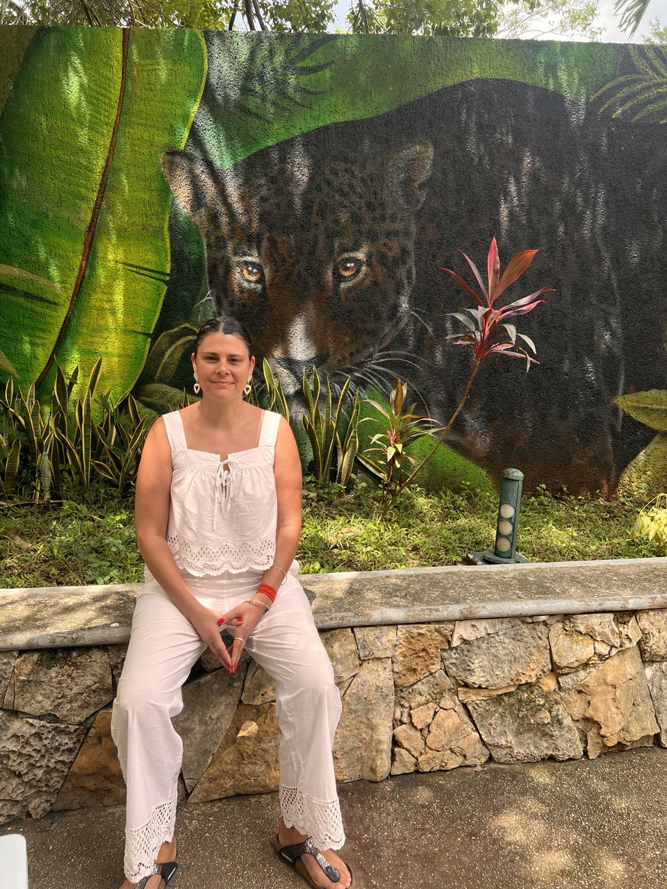 a46b393fc7344a20f8af39cd12566453